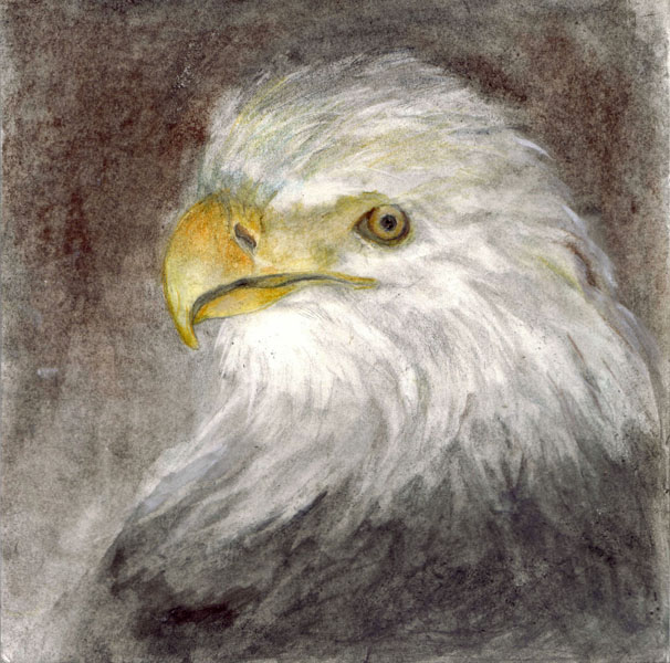 Aguila   tinta s/papel    20 x 20 cm