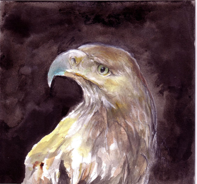 Aguila II   tinta s/papel   20 x 20 cm