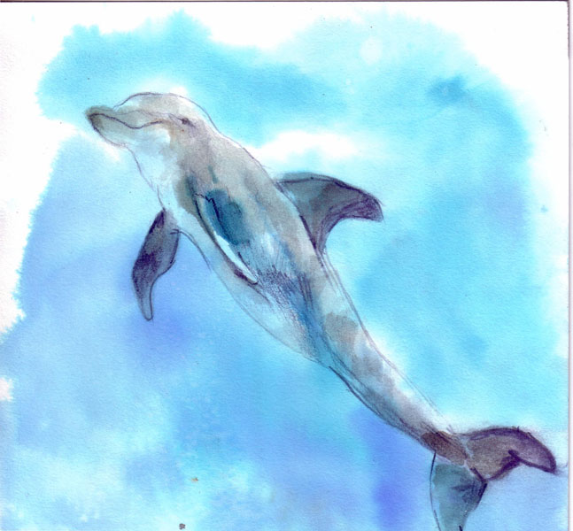 Delfin  tinta s/papel  20 x 20 cm