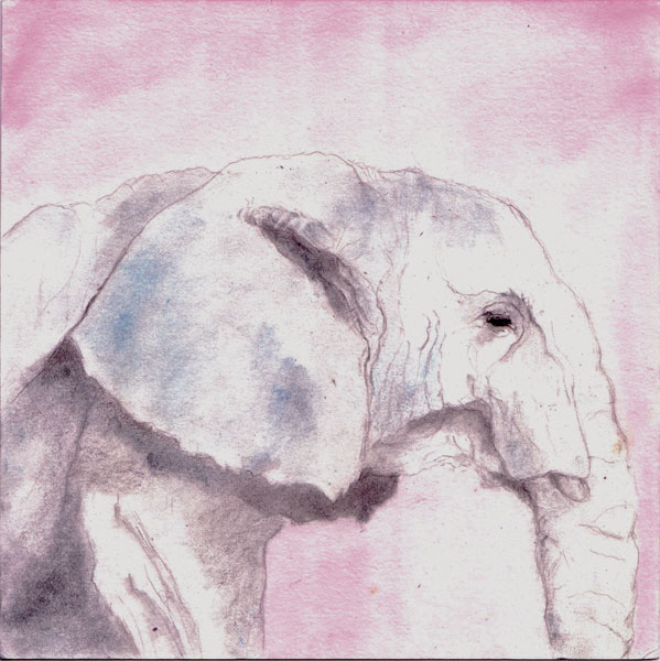 Elefante blanco tinta s/papel 20x20 cm
